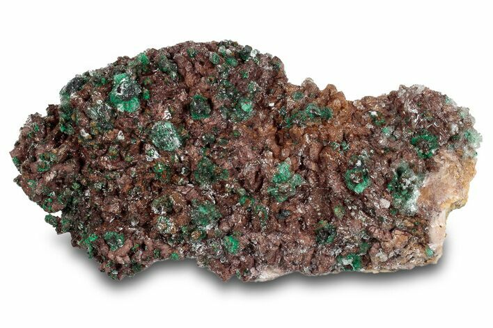 Fibrous Malachite and Selenite on Ferroan Dolomite - Morocco #274342